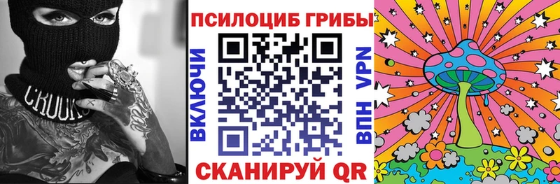 hydra зеркало  сайты даркнета официальный сайт  Галлюциногенные грибы Psilocybe  Куровское 