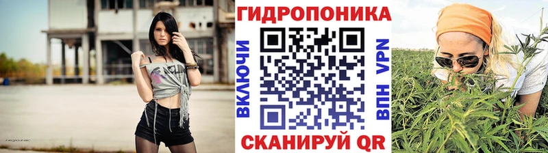 Конопля индика  MEGA вход  Куровское  как найти закладки 